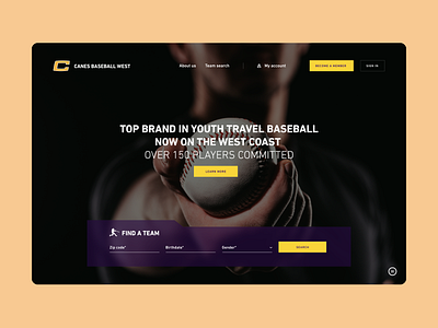 Canes Baseball West desktop digital mobile sport ui webdesign