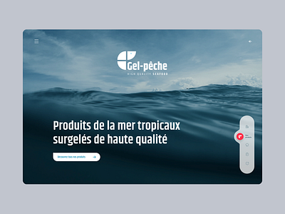 Gel pêche desktop digital food mobile ui webdesign