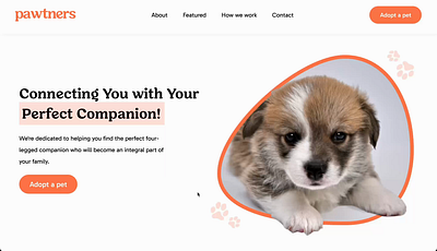Pawtners: A pet adoption web application adoption app design designchallenge pets ui ux web webapp