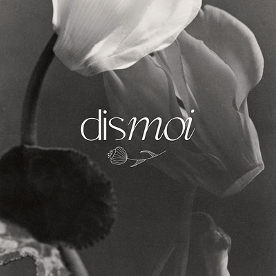 Dismoi Collection - Branding brand identity branding design graphic design logo web design