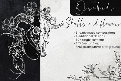 Skulls and flowers: Orchids bones