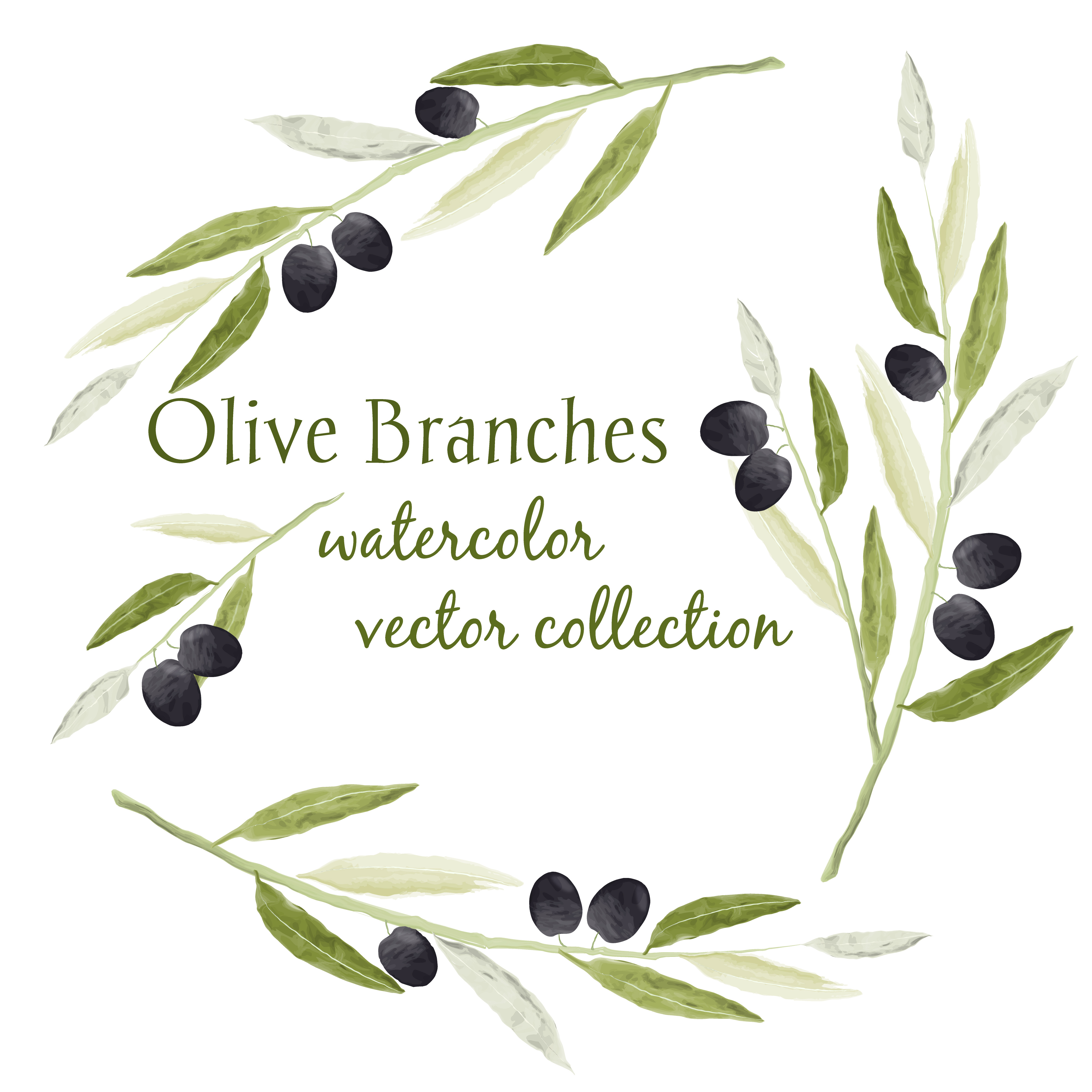 Watercolor olive branches. Vector illustration. clipart collection culinary design design graphic design illustration inviitation design kitchen design nature inspiration olive olive branches olive clipart olive tree vector vector watercolor wallpaper design watercolor watercolor olive wedding card wedding design