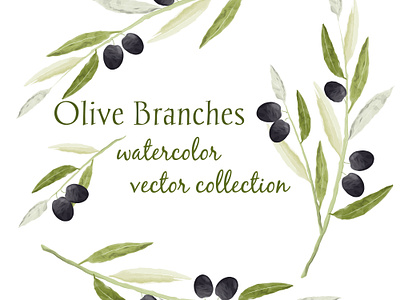 Watercolor olive branches. Vector illustration. clipart collection culinary design design graphic design illustration inviitation design kitchen design nature inspiration olive olive branches olive clipart olive tree vector vector watercolor wallpaper design watercolor watercolor olive wedding card wedding design