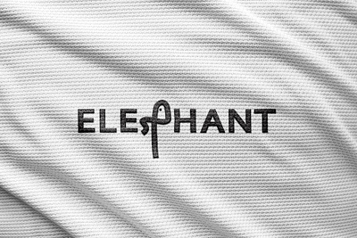 Elephant Logo Design logo logo design