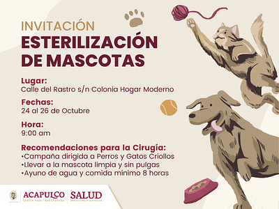 Pet sterilization flyer brushes cat diseño grafico dog gato graphic design handmade illustration ilustración mascota mascotas perro pet veterinario