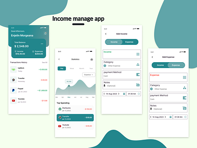 Income Manage App graphic design ui