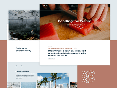 Atlantic Sapphire – Website for innovative fish farming company adchitects corporate design fish fish farming graphic design homepage ocean responsive web design responsive website salmon ui user experience ux web