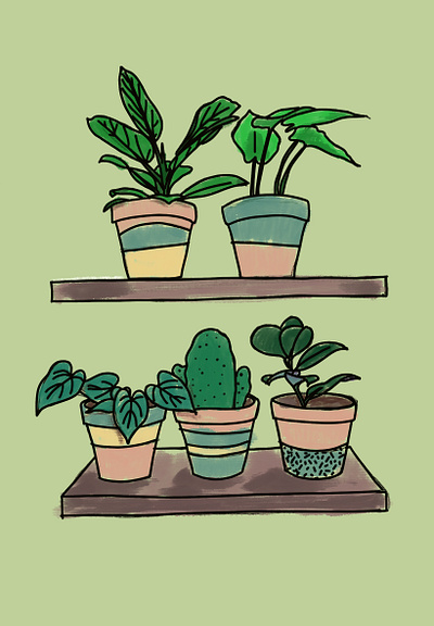 just indoor plants illustration
