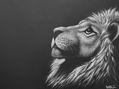 scratch board lion art