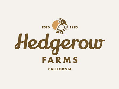 Hedgerow Farms Concept branding california farm illustration lettering logo quail