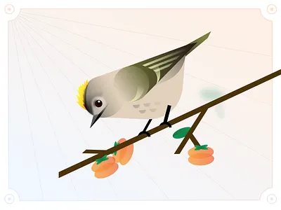 Birds & Flowers 18/24 Goldcrest bird goldcrest graphic design