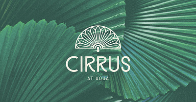 Cirrus at Aqua art brand brand assets branding clean creative design graphic graphic design illustration logo logo design minimal pattern vector