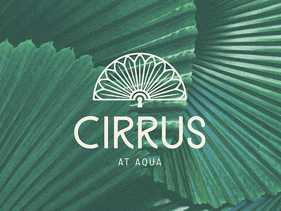 Cirrus at Aqua art brand brand assets branding clean creative design graphic graphic design illustration logo logo design minimal pattern vector