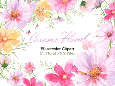 Watercolor Cosmos Floral aquarelle card design clipart cosmos flowers floral floral illustration flower illustration graphic elements hand drawn hand painted illustration ink invitation clipart painting pink floral pink flower watercolor watercolor clipart watercolor design watercolour