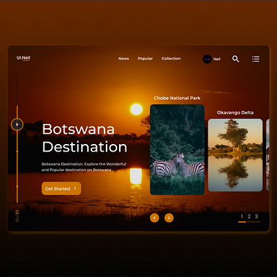 Botswana Web Design 3d animation app appdesign branding design graphic design illustration logo motion graphics ui uidesign ux uxdesign