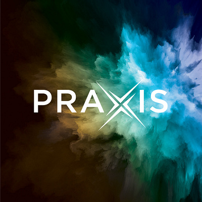 Case Study: Praxis Precision Medicines brand strategy branded goods copywriting design experiential experiential design graphic design merchandise praxis precision medicines print print design visual identity website website design