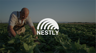 NESTLY-Brand Identity brand design brand identity branding designer graphic design identity logo logo design