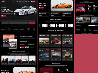 car rent design graphic design ui ux web website