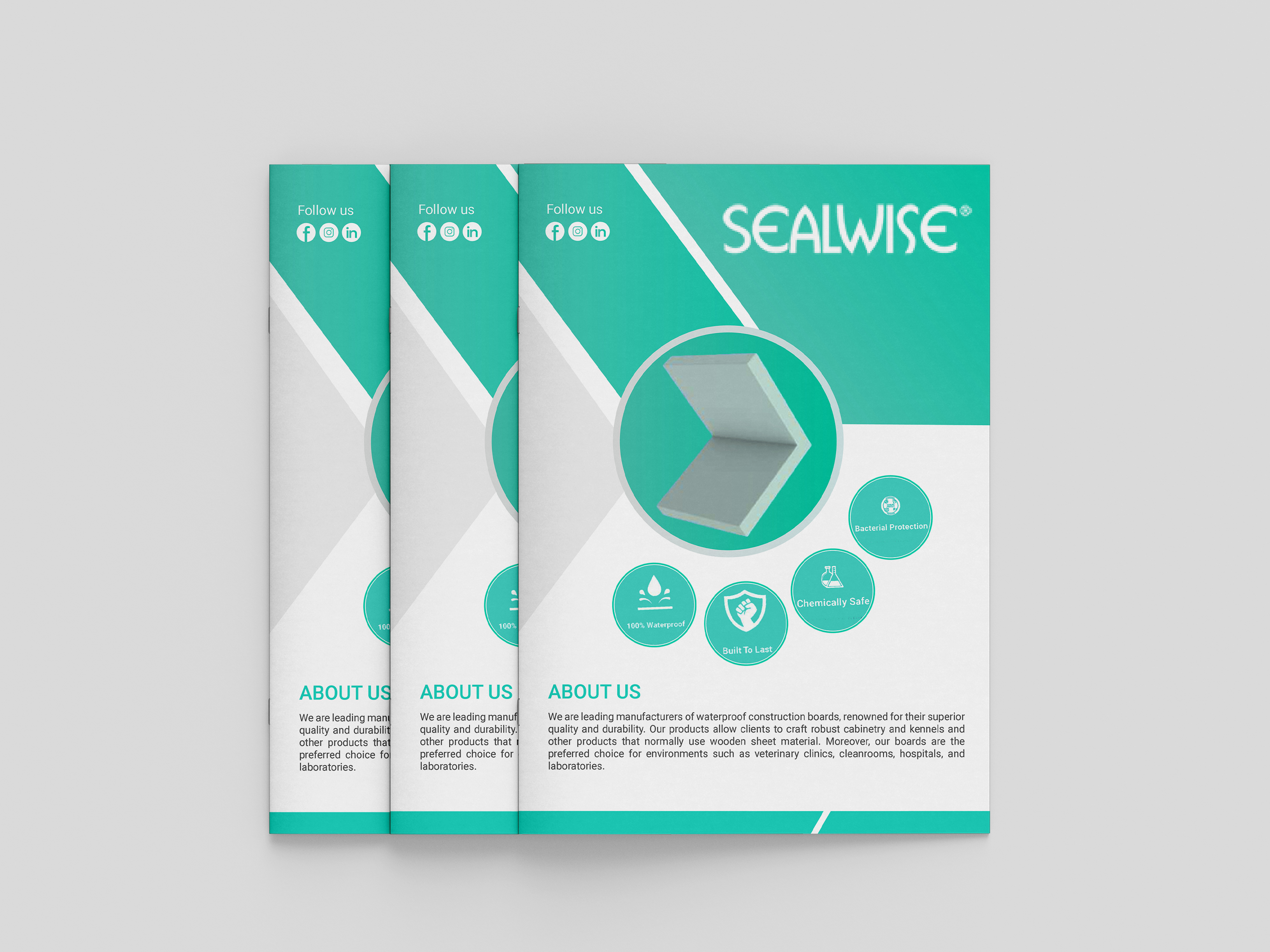 Company Brochure Design annual report bifold brochure brochure brochure cover brochure design brochure mockup business brochure company brochure company cover company profile company profile content company profile mockup free free company profile free download graphic design trifold brochure