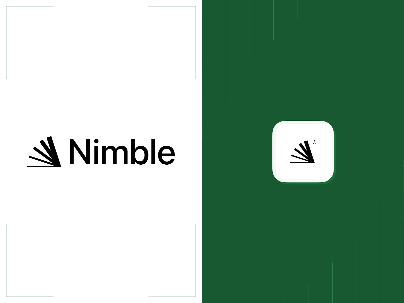 Nimble by Olha Sitchenko on Dribbble
