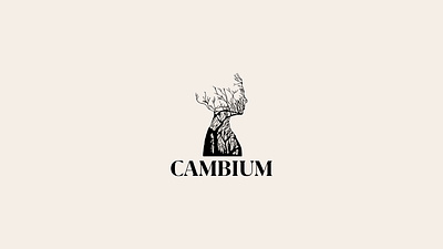 Cambium logo beauty black brand branding design face forest girl graphic design illustration logo logofolio logotype nature plant portfolio silhouette tree vector woman