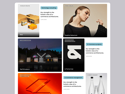 dotCompanion website UI design graphic design typography web web design webdesign website