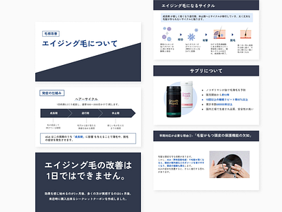 Pitch Deck/ Presentation design for aging hair business design corporate design google slide graphic design japanese japanese designer pitch deck design presentation design