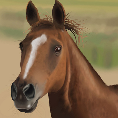 Horse illustration