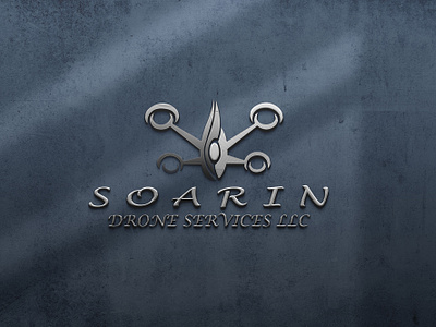 This is a logo soarin. branding graphic design logo vector