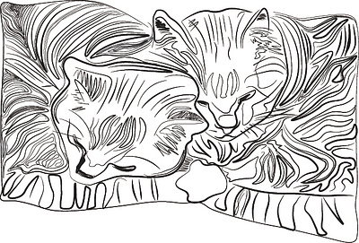 Cat nap line drawing
