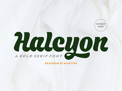 Introducing our new retro font branding design elegant font font fonttype graphic design hand written font illustration logo logo font luxury font signature font tshirt