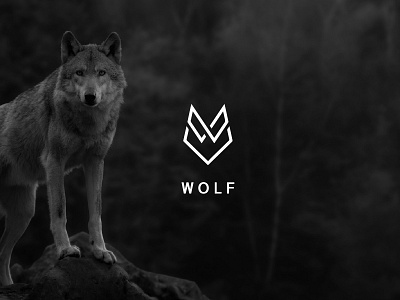 Wolf Logo logo wolf wolf logo