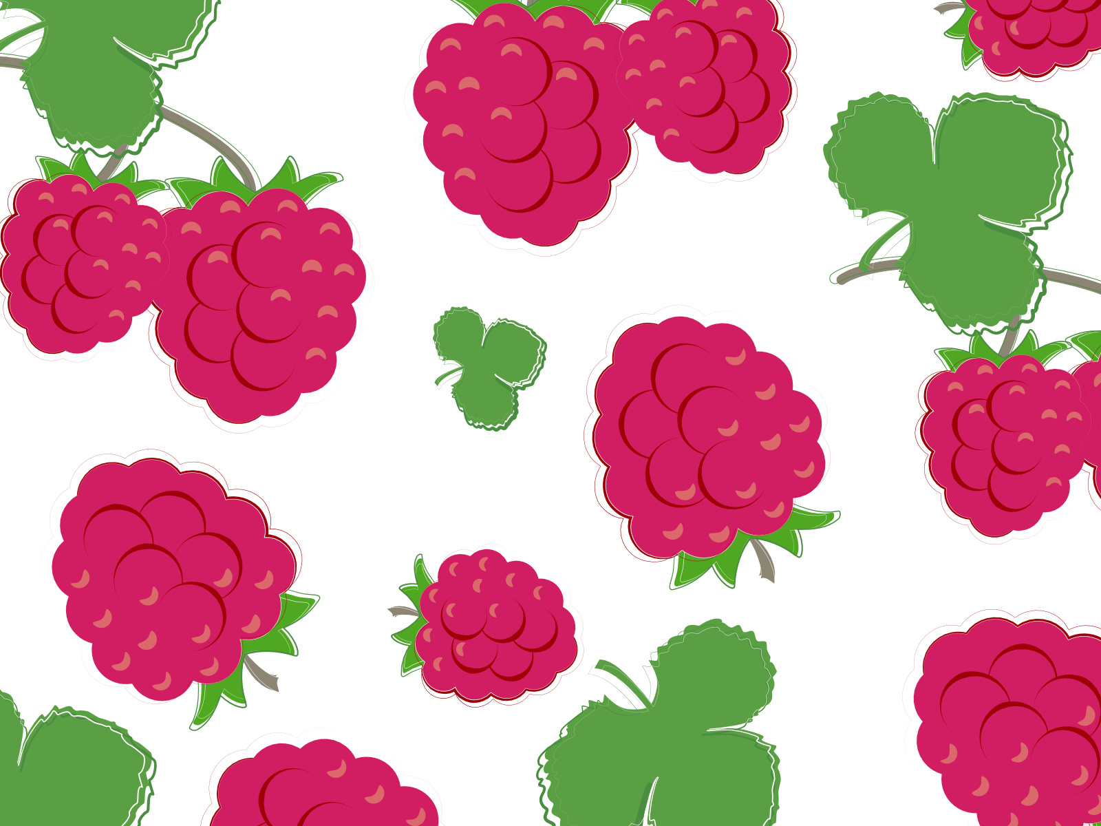 Raspberries berries fruit graphic design raspberries summer berries summer fruit vector illustration