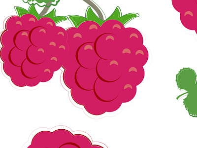Raspberries berries fruit graphic design raspberries summer berries summer fruit vector illustration