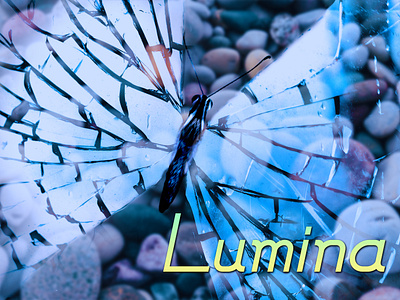 Artsy piece with Galvantur art blue butterfly design fantasy font glass graphic design luminosity luminous nature pretty typography wings