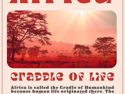 AFRICA 🌍Cradle of Life flyer design branding graphic design logo