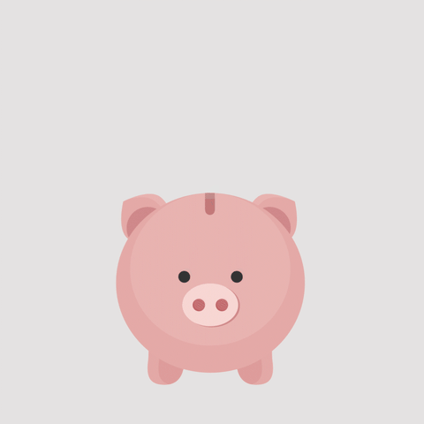 Happy pig 2d 2d animation 2d design after effects animation character animation pig piggy bank piglet