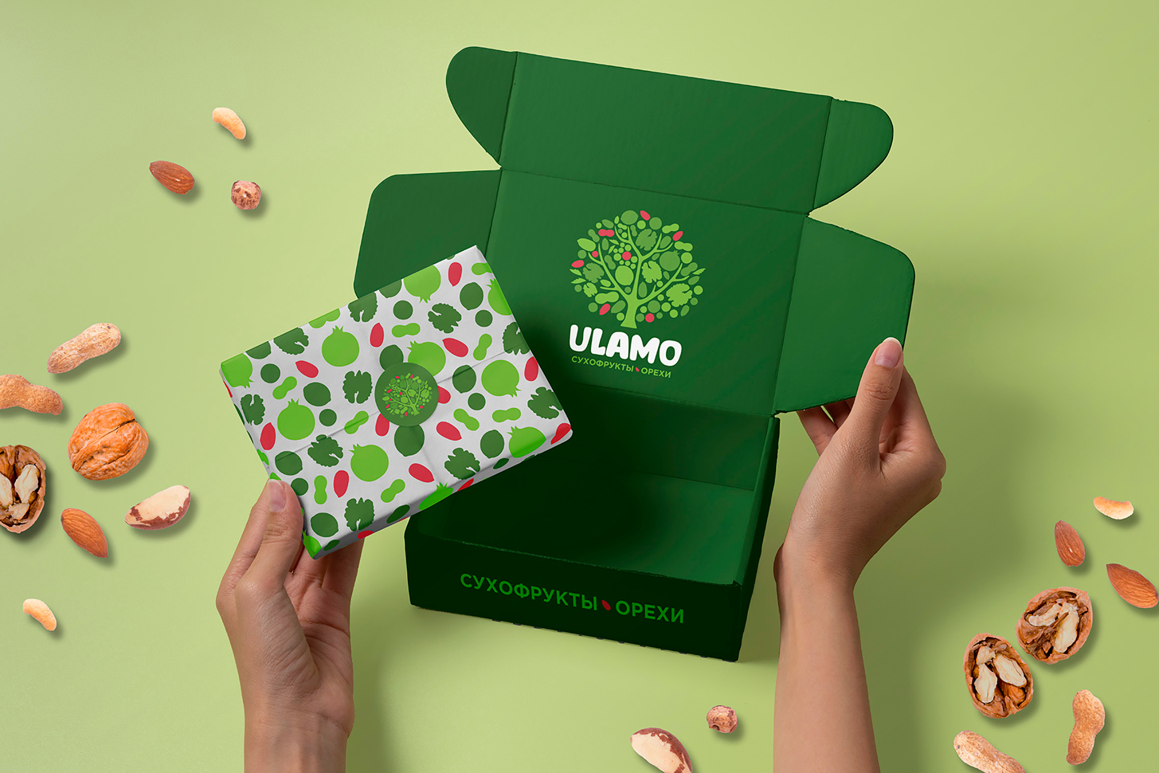 ULAMO design graphic design typography айдентика брендбук брендинг вектор дизайн на заказ лого паттерн фирменный стиль