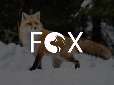 FOX LOGO, CUSTOMIZED LOGO DESIGN AND PROJECT. banner design brand identity branding business card design design email signature design fox lofo graphic design icon design illustration letterhead design logo logo design logos logotipo logotype minimal typography