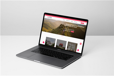 Alfa Insurance Concept Website concept design insurance ui ux web webdesign website