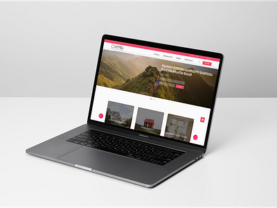 Alfa Insurance Concept Website concept design insurance ui ux web webdesign website