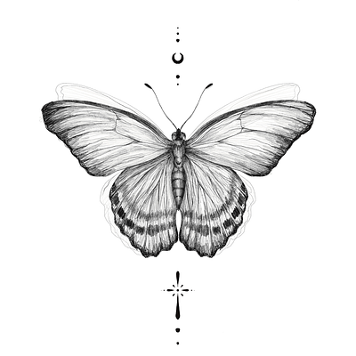 Butterfly Drawing apple pencil black and white butterfly drawing ink ipad painting procreate tattoo design wings