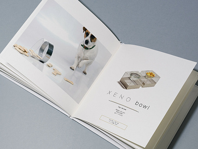 Brochure Design brochure catalogo design graphic design interior interiordesign petdesign productdesign