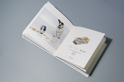 Brochure Design brochure catalogo design graphic design interior interiordesign petdesign productdesign