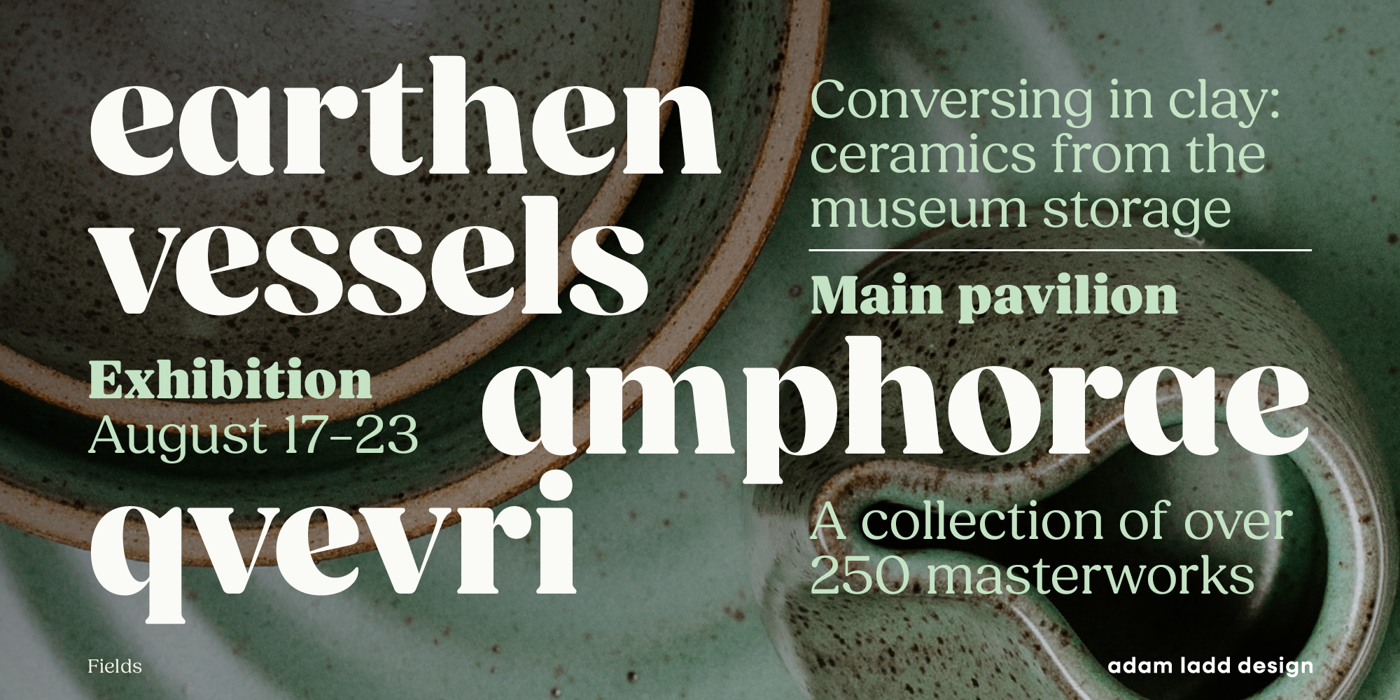 Fields Display & Fields Normal advertising branding design editorial font fonts magazine marketing packaging publication type typeface typography variable fonts