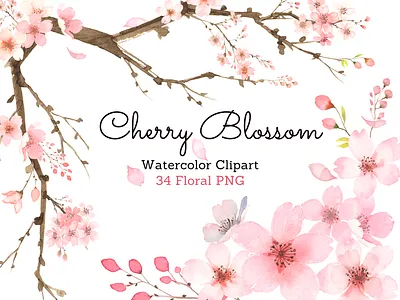 Watercolor Cherry Blossom Clipart aquarelle card design cherry blossom cherry blossom clipart cherry blossom design cherry blossom illustration clipart floral graphic elements hand painted illustration invitation illustration pink floral design pink flowers sakura illustration watercolor watercolor clipart watercolor flowers watercolor illustration watercolour