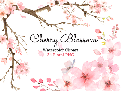 Watercolor Cherry Blossom Clipart aquarelle card design cherry blossom cherry blossom clipart cherry blossom design cherry blossom illustration clipart floral graphic elements hand painted illustration invitation illustration pink floral design pink flowers sakura illustration watercolor watercolor clipart watercolor flowers watercolor illustration watercolour