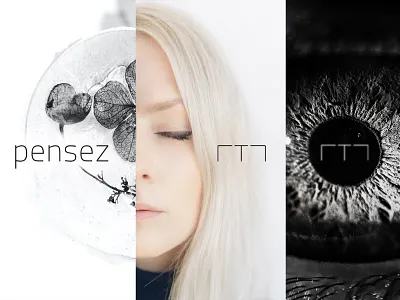 montemple | art direction artdirection branding graphic design