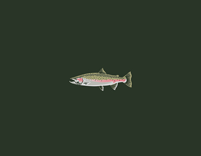 steelhead