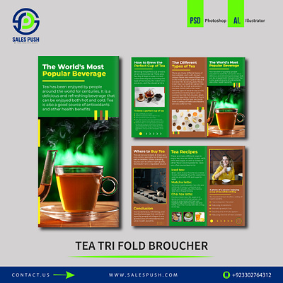 TEA TRI FOLD BROUCHER DESIGN broucher designs graphic design graphic designer motion graphics tri fold broucher